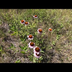 Meet your Posher, Reuben